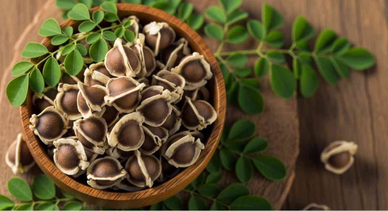 How to Eat Moringa Seeds: 9 Healthy & Safe Ways Explained