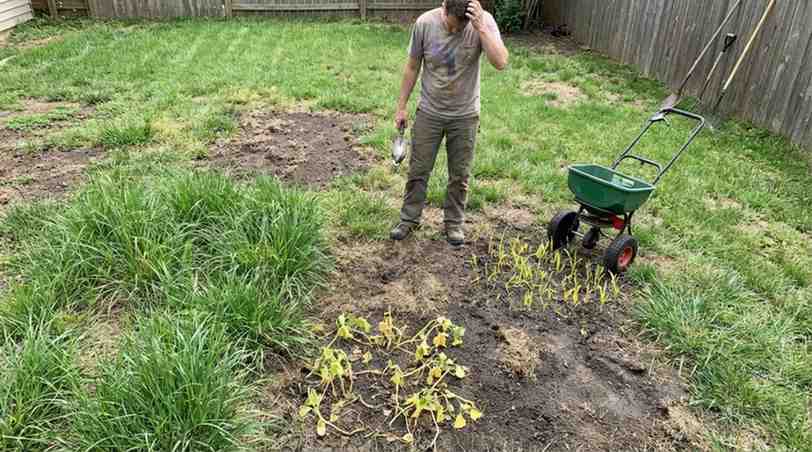 How Long to Wait to Fertilize After Seeding illustrated through common post-seeding mistakes.